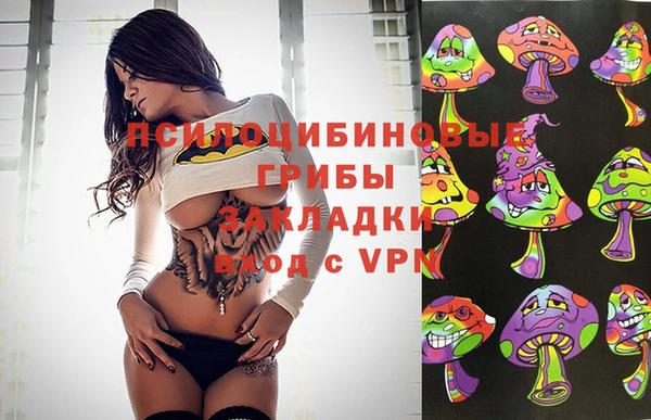 гидра Ельня