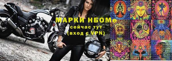 гидра Ельня