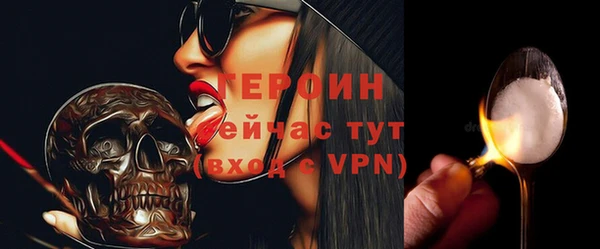 гидра Ельня