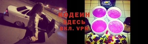 гидра Ельня