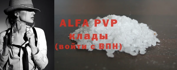 гидра Ельня