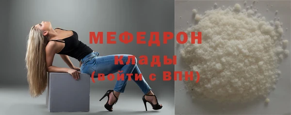 гидра Ельня