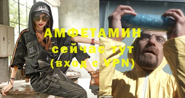 гидра Ельня