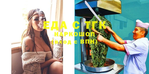 гидра Ельня