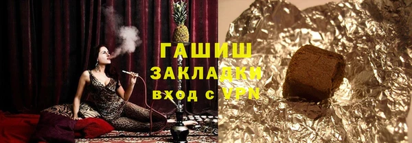 гидра Ельня