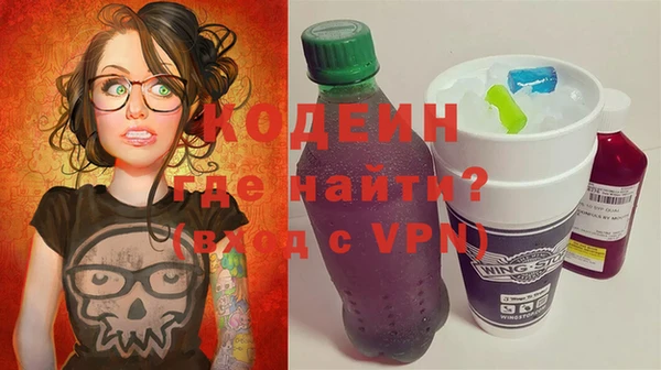 гидра Ельня