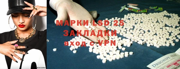 гидра Ельня