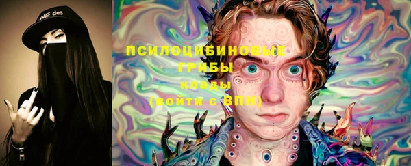 гидра Ельня