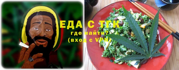 гидра Ельня