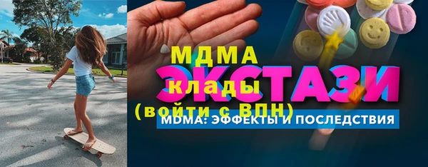 гидра Ельня