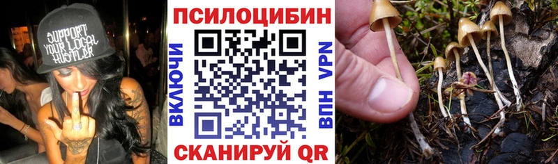 сколько стоит  Знаменск  Галлюциногенные грибы Cubensis 