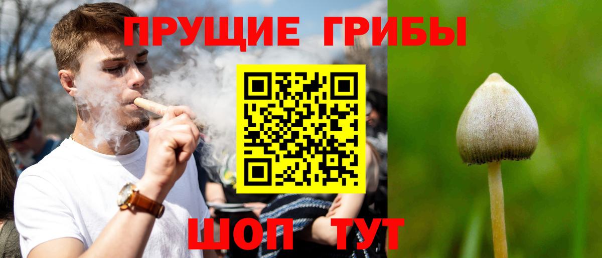 Галлюциногенные грибы MAGIC MUSHROOMS Знаменск