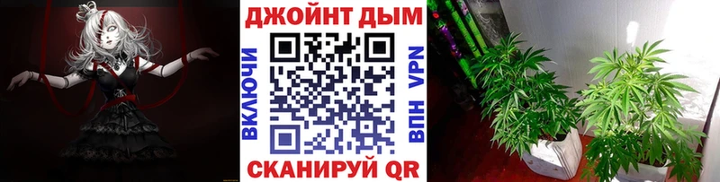 Канабис конопля Знаменск